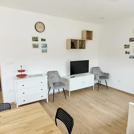Apartment Hisa Cepon *